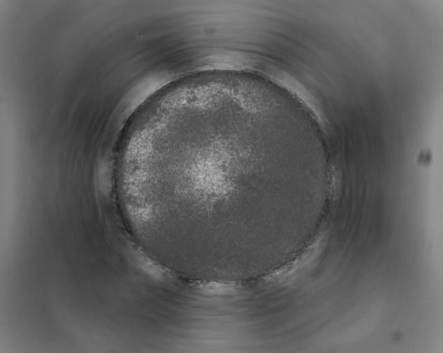X0000101420874200808041125