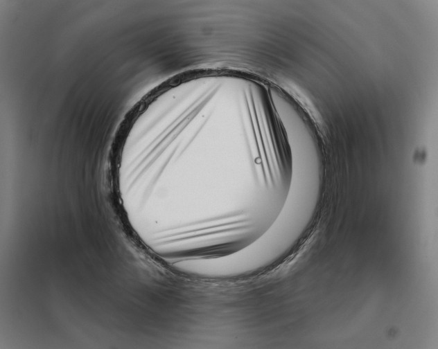 X0000101420876200808041125