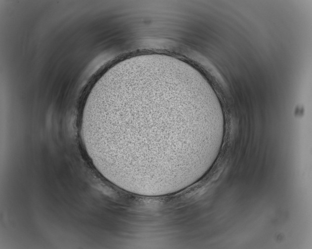 X0000101420878200808041125