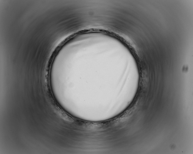 X0000101420879200808041125