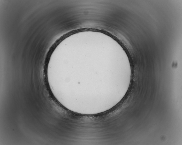 X0000101420880200808041125