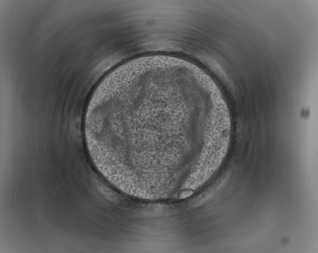 X0000101420881200808041125