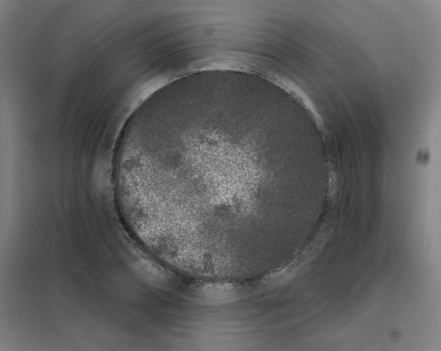 X0000101420882200808041125