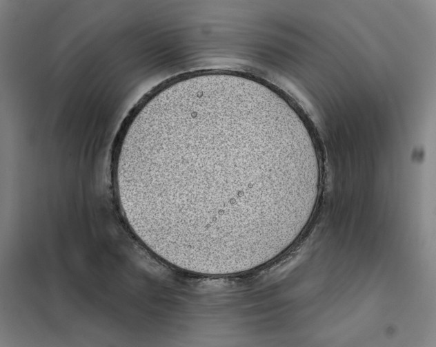 X0000101420883200808041125