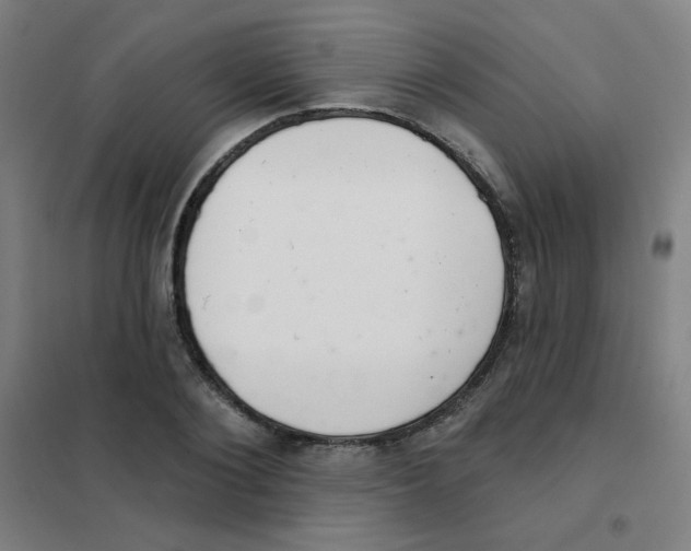 X0000101420884200808041125