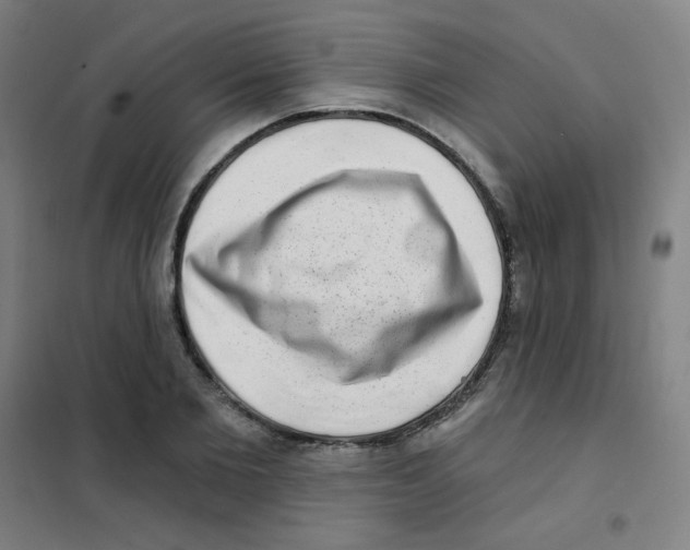 X0000101420885200808041125