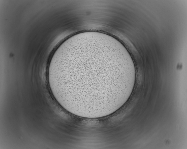 X0000101420886200808041125