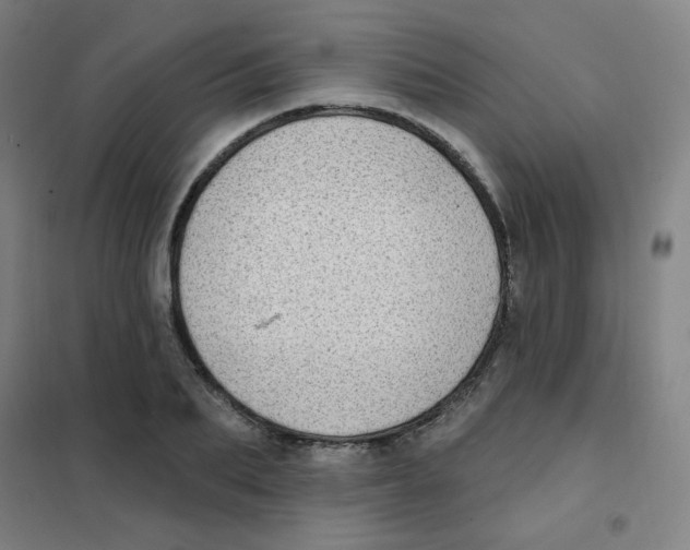 X0000101420887200808041125