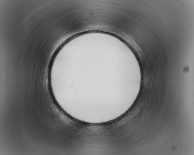 X0000101420888200808041125