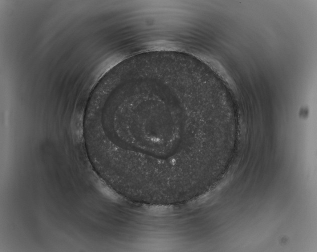 X0000101420889200808041125