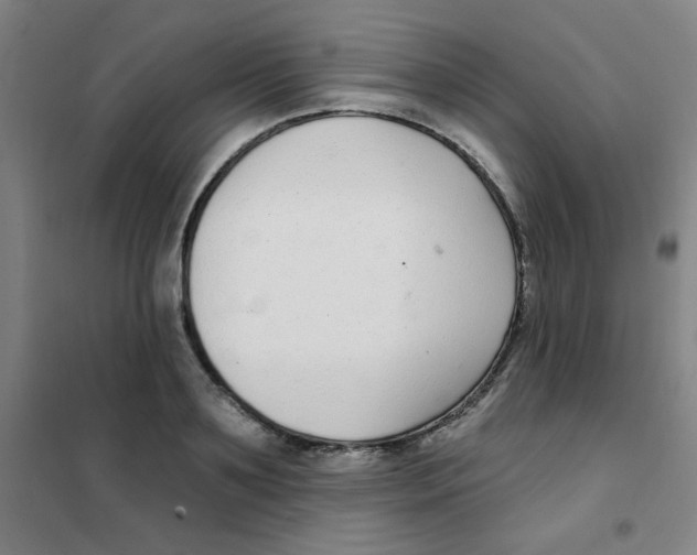X0000101420891200808041125