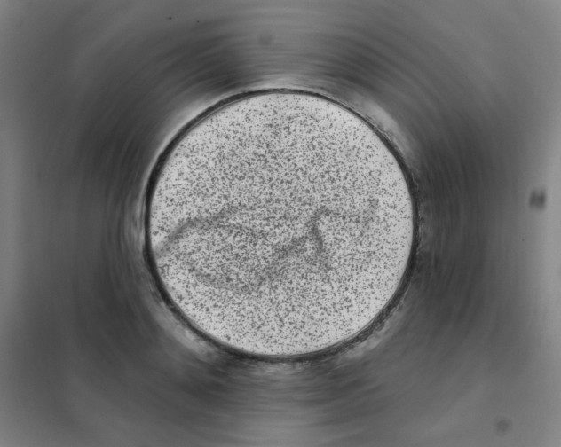 X0000101420892200808041125