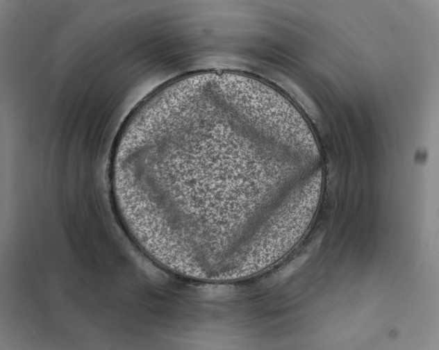 X0000101420893200808041125
