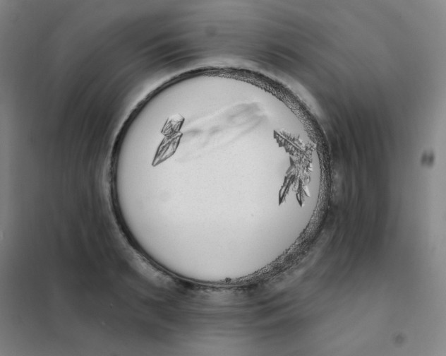 X0000101420895200808041125