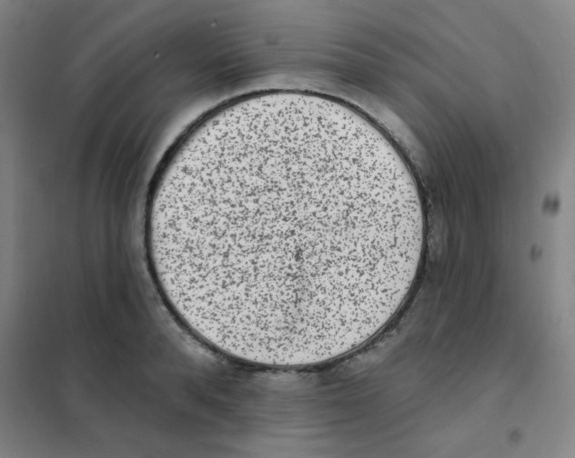 X0000101420896200808041125