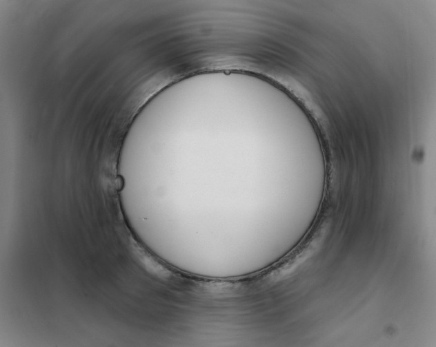 X0000101420897200808041125