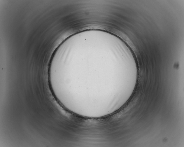 X0000101420898200808041125