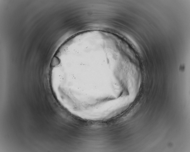 X0000101420899200808041125