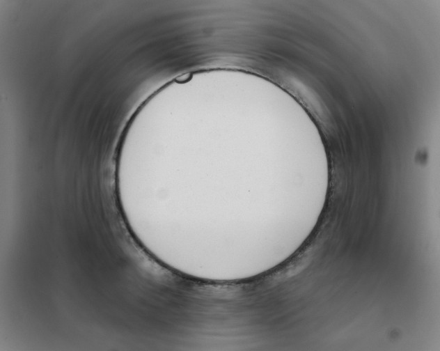 X0000101420900200808041125