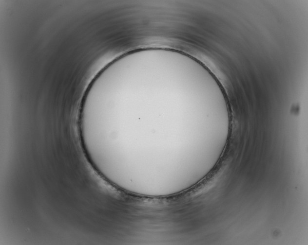 X0000101420901200808041125