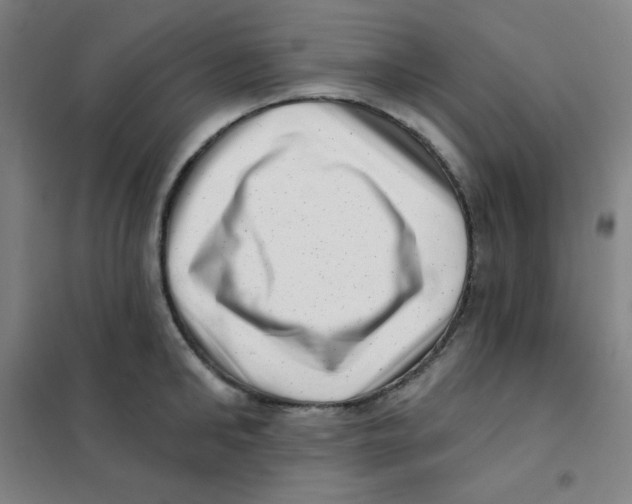 X0000101420902200808041125