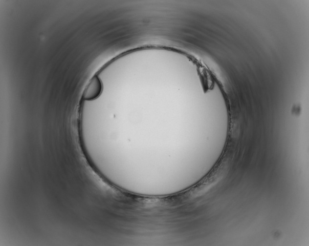 X0000101420903200808041125