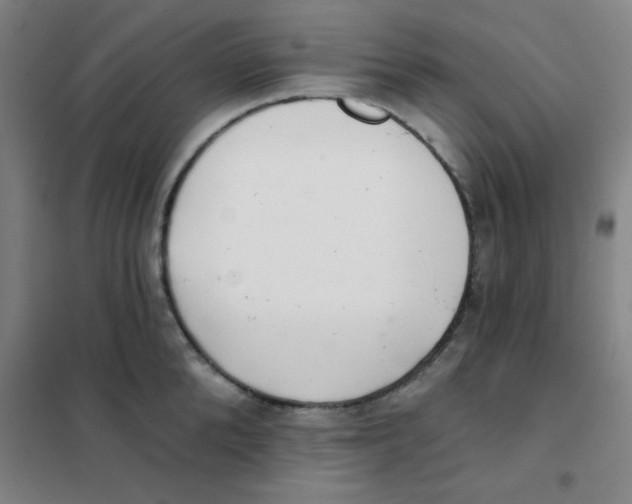 X0000101420904200808041125