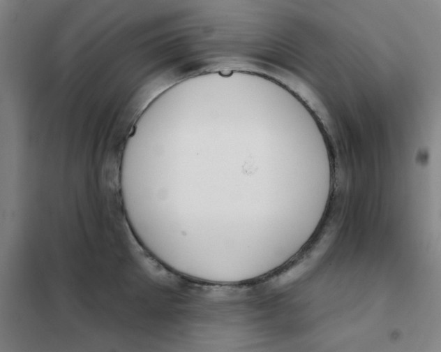 X0000101420905200808041125