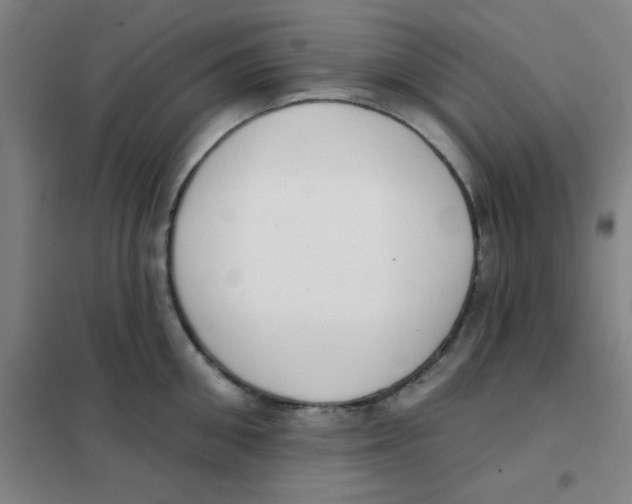 X0000101420906200808041125