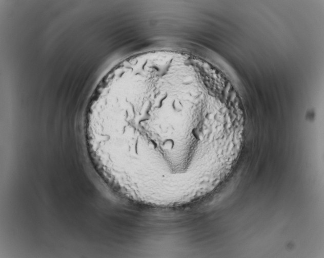X0000101420907200808041125