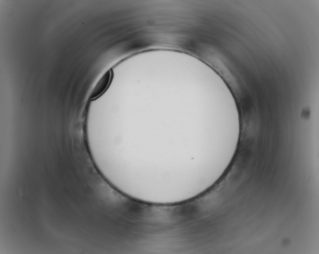 X0000101420908200808041125