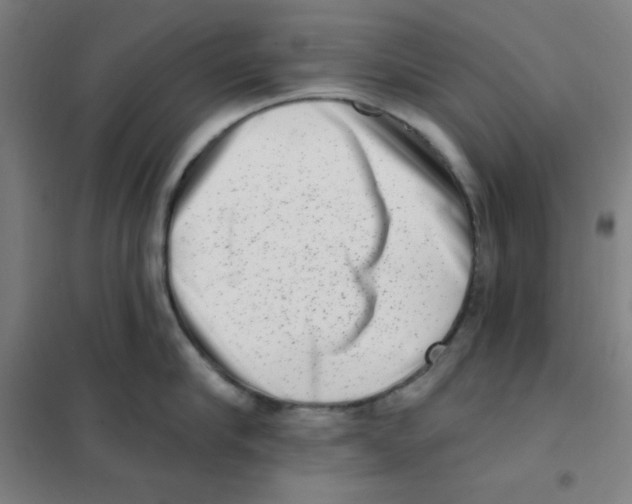 X0000101420910200808041125