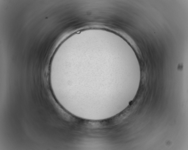 X0000101420911200808041125