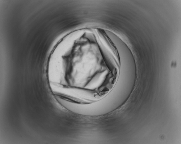X0000101420912200808041125