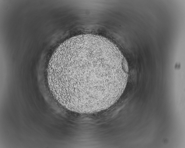 X0000101420913200808041124
