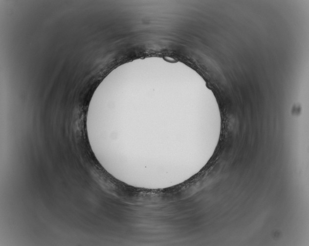 X0000101420914200808041124