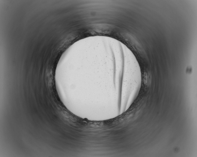 X0000101420915200808041124