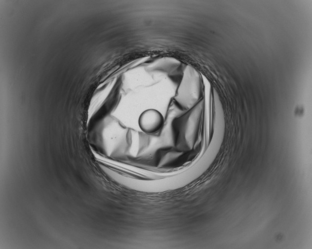 X0000101420916200808041124