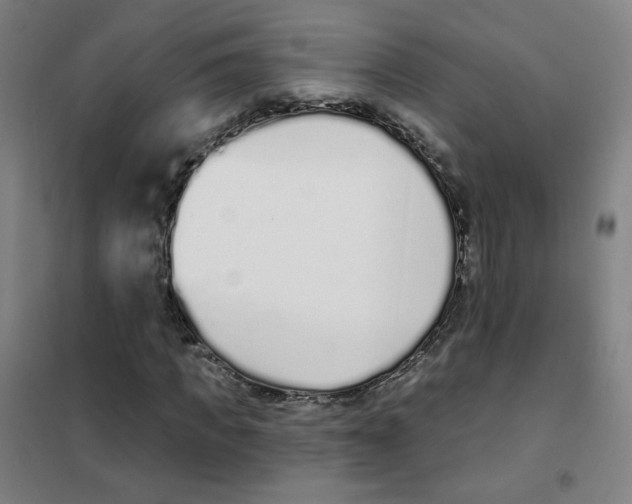 X0000101420917200808041124