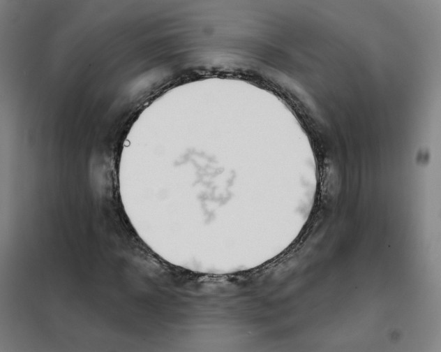X0000101420918200808041124