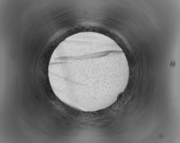 X0000101420919200808041124
