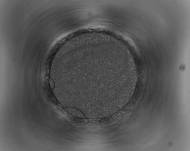 X0000101420920200808041124