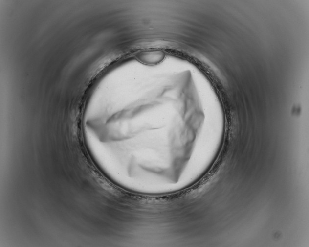 X0000101420921200808041124