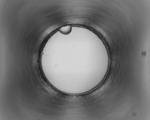 X0000101420922200808041124