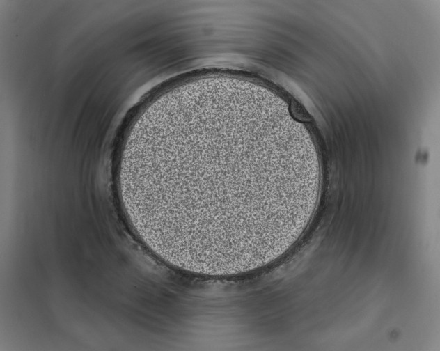 X0000101420923200808041124
