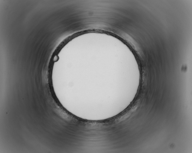 X0000101420924200808041124