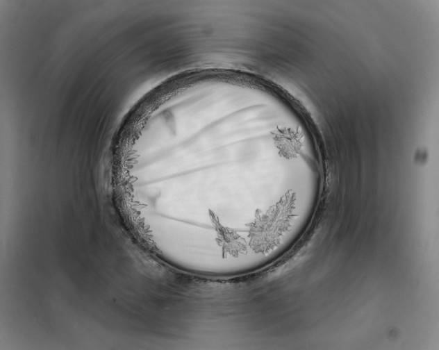 X0000101420925200808041124