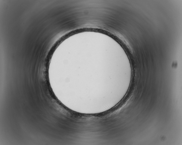 X0000101420926200808041124