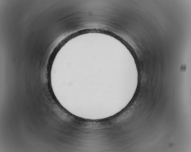 X0000101420927200808041124