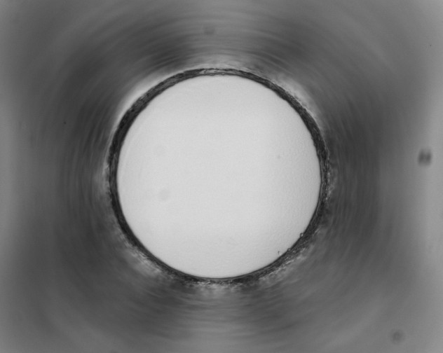 X0000101420928200808041124